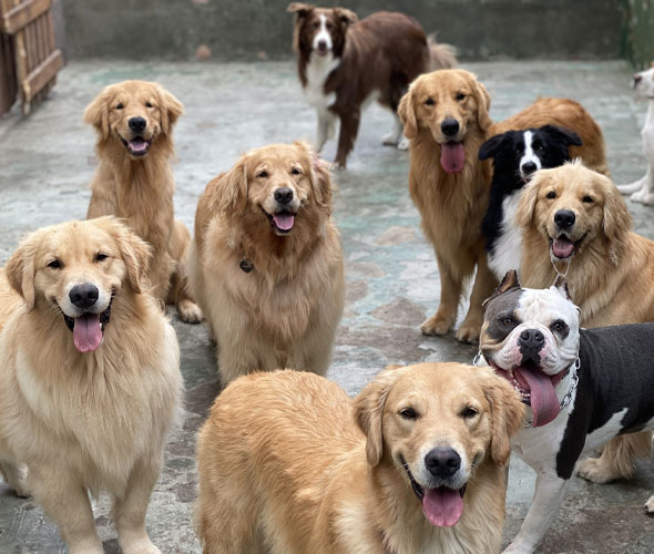 DayCare